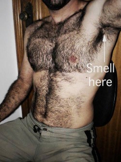 gaypigbdsm:  malepitstop:  Smell here.   Follow https://gaypigbdsm.tumblr.com for more!!!