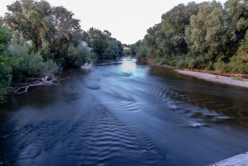 Our river, the other side.The river Saale, 2018.