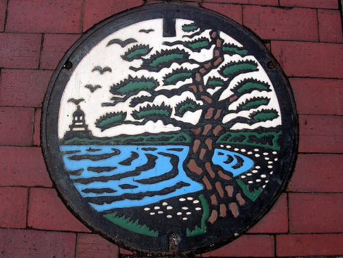 Amazing Art on Japanese Manhole Covers In Japan, there are many cities and towns that place visually