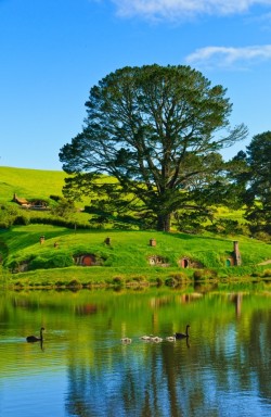 omgshowmetheworld:   ✯ Hobbiton in New