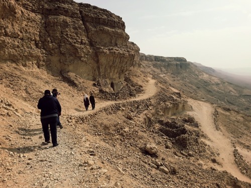 cats-of-cairo:Exploring cliffs of the northern necropolis of Tell el Amarna.