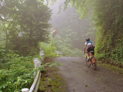 furippupauplus: IMG_0556 by ichicoblog on Flickr.
