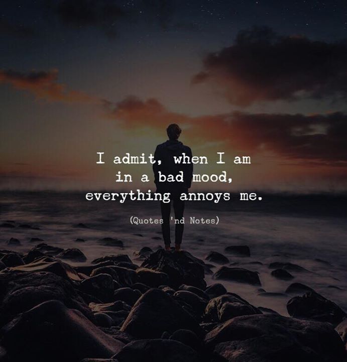 Quotes 'Nd Notes - I Admit, When I'M In A Bad Mood, Everything Annoys...