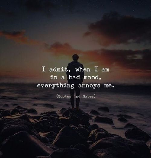 Quotes 'nd Notes - I admit, when I'm in a bad mood, everything annoys...