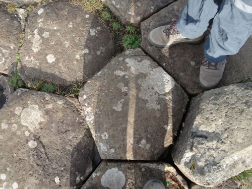 innerbohemienne:  The Giant’s Causeway in Antrim, Ireland is an area of about 40,000 interlocking basalt columns, the result of an ancient volcanic eruption about 50-60 million years ago. As the lava cooled, it contracted; the size of the columns is