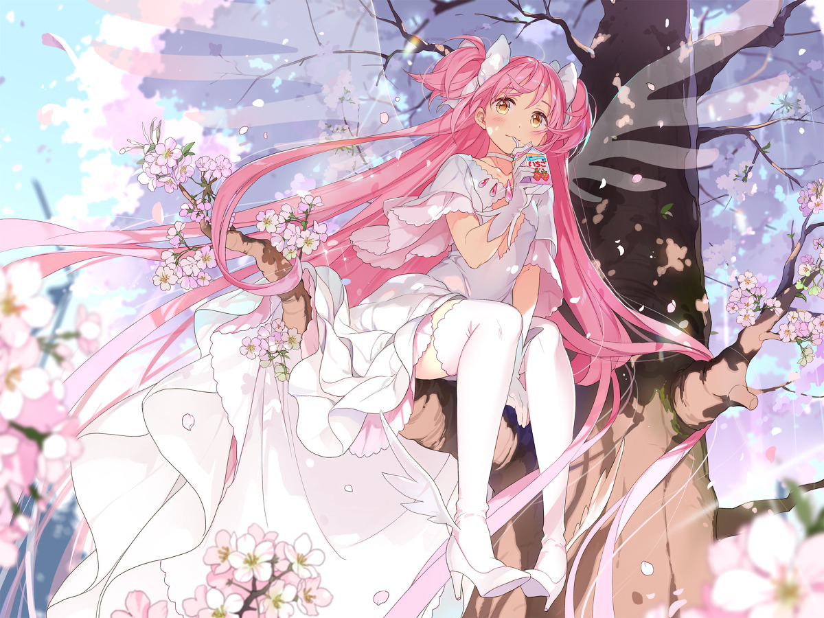 Anime Pop Heart Hisa アルティメットまどか Ultimate Madoka Anime Pop Heart Hisa アルティメットまどか Ultimate Madoka