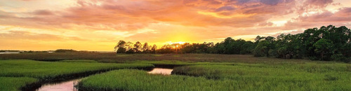 archaeologyfandom:(x) “The Lower Suwannee Archaeological Field School is a nine-credit field practic