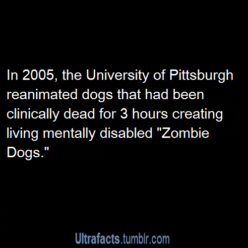 ultrafacts:   Source For more facts follow Ultrafacts 