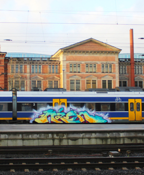 bigchillblog:NIEK