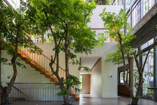 itscolossal:VTN Architects Designed a Vietnam Home With the Green Space on the Inside