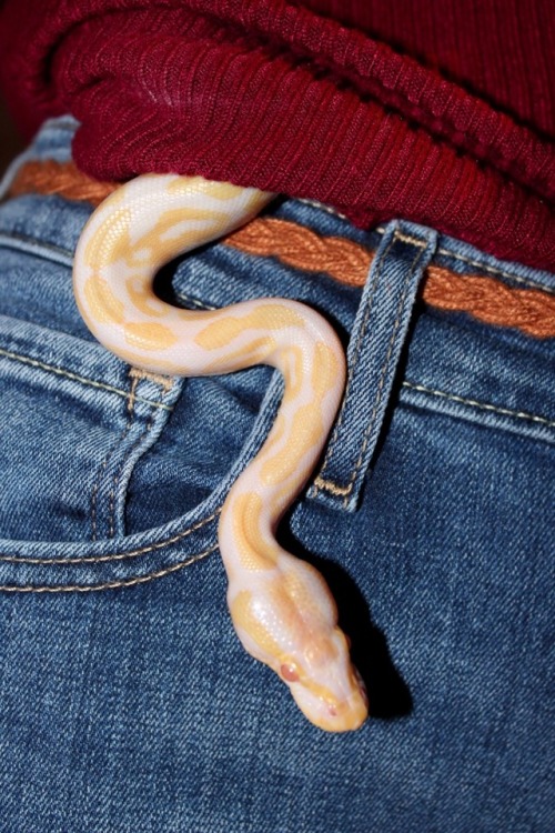 some pre shed thanksgiving photos i forgot i had for yall