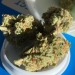 restingbluntface:Glueball, sativa 