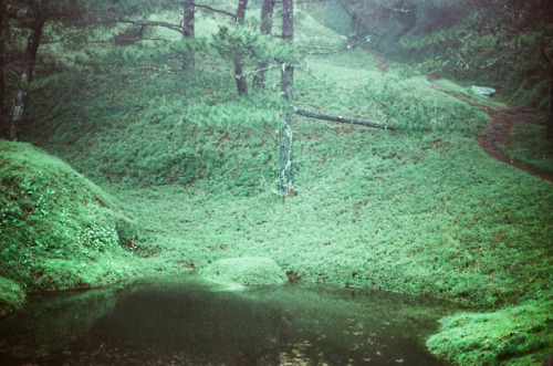 90377:Grassland // Pond by WeiMinChen Photographywebsite | facebook | instagram