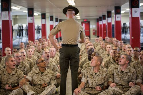 jarheadtamer:Learning to like looking up.When the Sgt speaks they all listen.