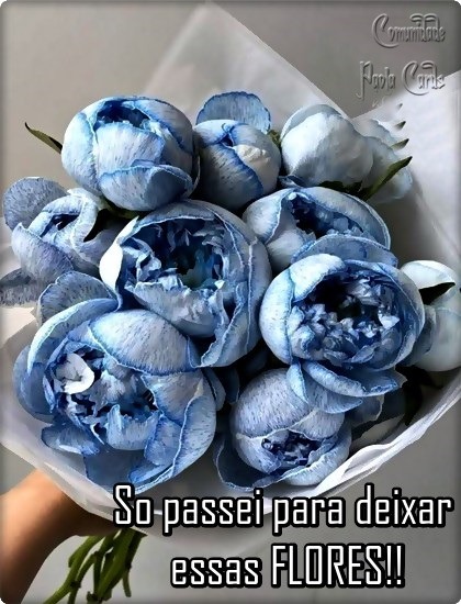 c6bea8df46002782131945759d71bbd4947412c7