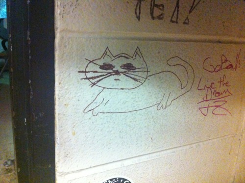 history1970s:collection of the janky cats on the walls here