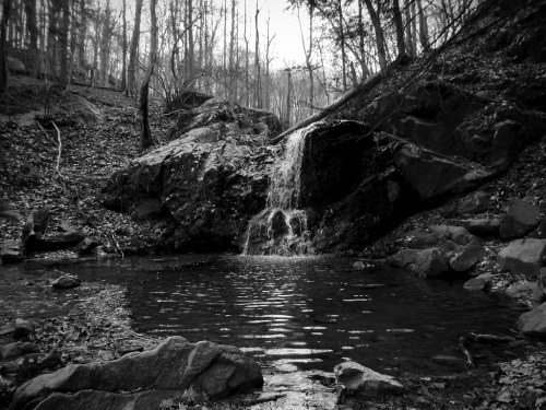 krossbowphotos