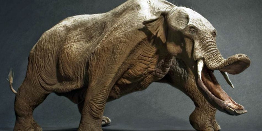 werebi-official:  rabbitlord:  hectocotyli-everywhere:  spinosaurus-the-fisher: 