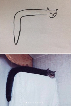 takashi0:  justcatposts:When your teacher keeps saying you can’t draw cats, but your paintings are photorealistic @not-semi-perfect