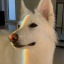 m01ses-blog2
