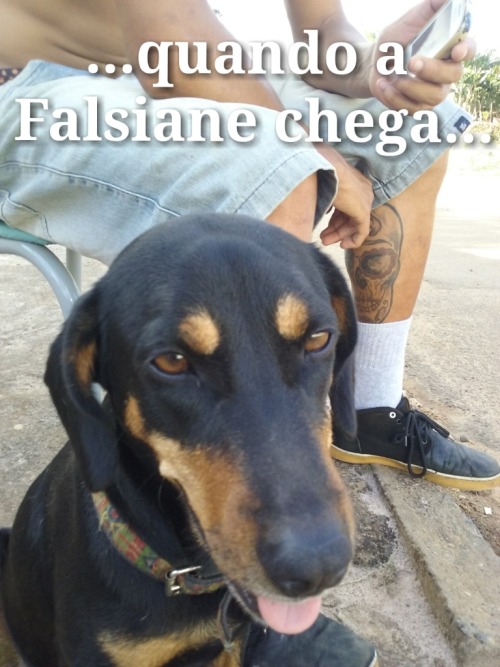 mebjaaa:  gente kkkk