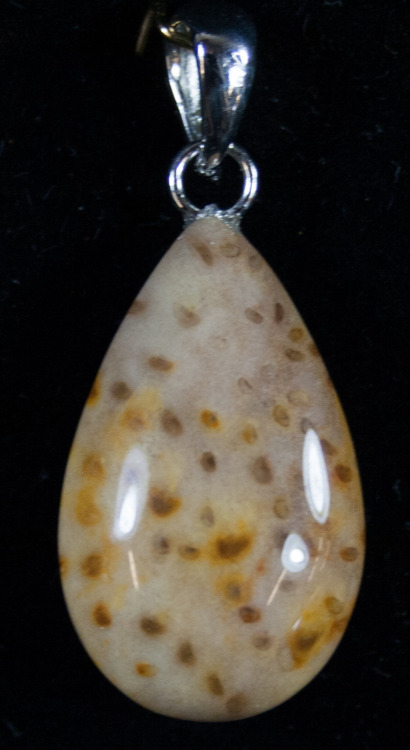 fossilera:Pendants made out of 30 million year old petrified Palmwood from Louisiana.  This pet