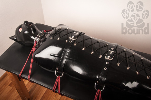 slavepupkylipso: Well secured rubber pup