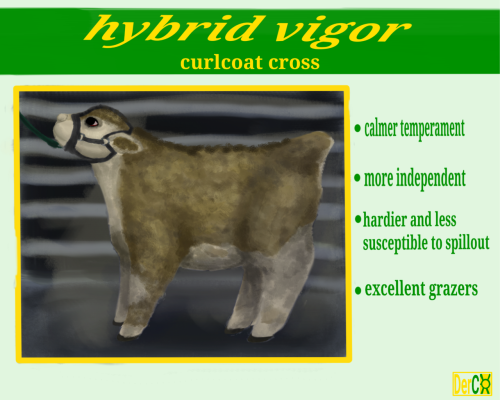 DerCo Advertisement From Some Type Of Agriculture Conference