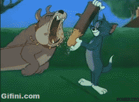 gifini:  As a child I loved watching Tom and Jerry, I understood why I loved seeing this gif.   Deja de joder