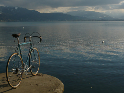 aces5050:  1983 Leo Estermann, Zürich - Campagnolo 50th anniversary (by sunshine rouleur)