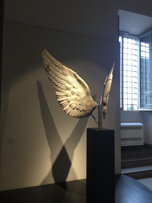 sgtpeppersofab:Marble wings, Palatine Museum.