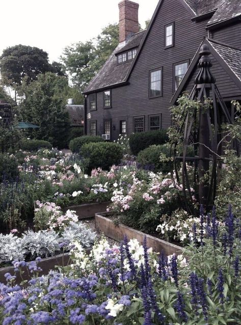 Witches Garden