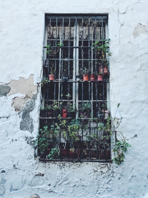travelingcolors: Arcos de la Frontera, Cádiz | Spain (by Nacho Coca) Follow me on Instagram 