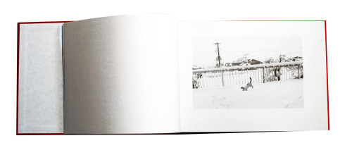 One of my all-time favorite photobooks: posted by akinabooks: Nobuyoshi Araki sentimental journey - 