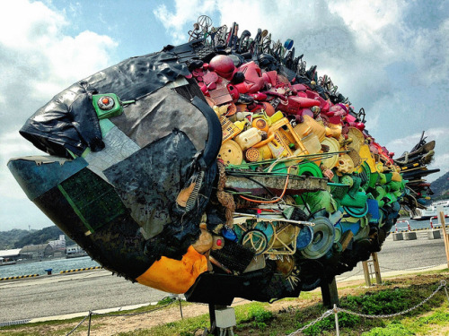 Black Porgy in Uno / 宇野のチヌ by umezy12 on Flickr.