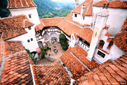 allthingseurope: Bran Castle, Romania (by Park Jongwoo)