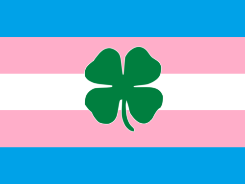 BREAKING NEWS: Ireland passes law allowing trans people to choose their legal gender“Gender recognit
