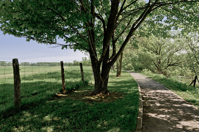 If I could quit my job and just spend the summer in this place&hellip; I would&hellip;.