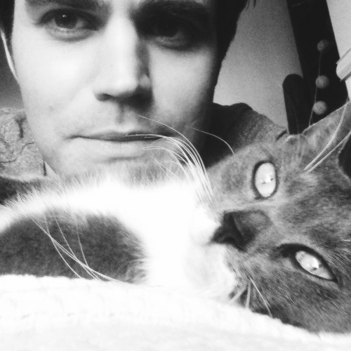 candicesandwich-deactivated2016:  Paul Wesley with his cat (x)