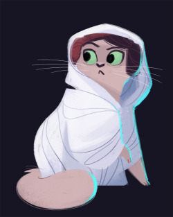 dailycatdrawings:441: ‘Help me Meowbi Wan