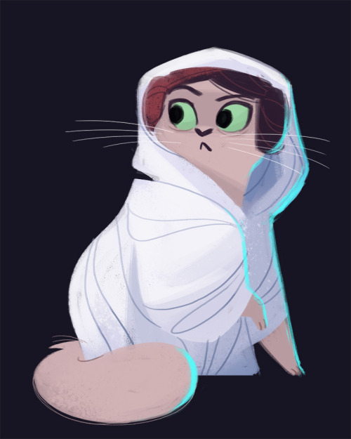 dailycatdrawings:441: ‘Help me Meowbi Wan Kenobi’ (5 days to Star Wars)