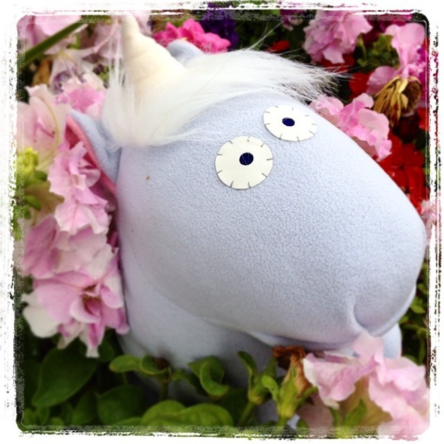 No your eyes do not deceive you… that is the most adorable unicorn you have ever seen! Help us bring this majestic beast to life by pledging here: http://kck.st/1qDtLCB #Mythicals #kickstarter #unicorn #Margottheunicorn #adorable #monsterfactory