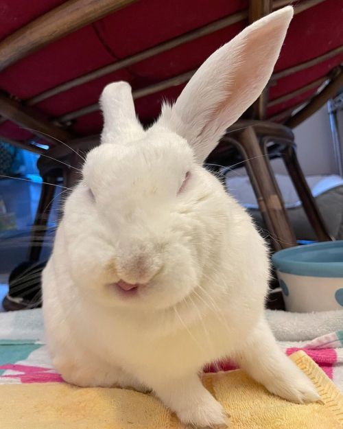 Gotta clean the snoot! We’ve officially reached the “bum bath” age. He needed some