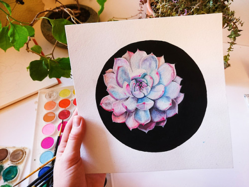 Happy color paintings &lt;3Colorful succulent