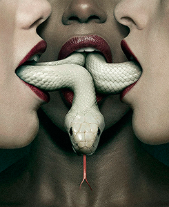 notbedelia:  american horror story posters (2011-2014) 