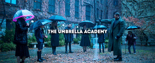 dailyhargreeves:The Umbrella Academy has been officially renewed for a 2nd season by Netflix!
