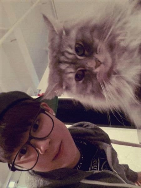 CATS SECRETLY HATE HUMANS BUT OPENLY LOVE JIMIN AND JIMIN ALONE!