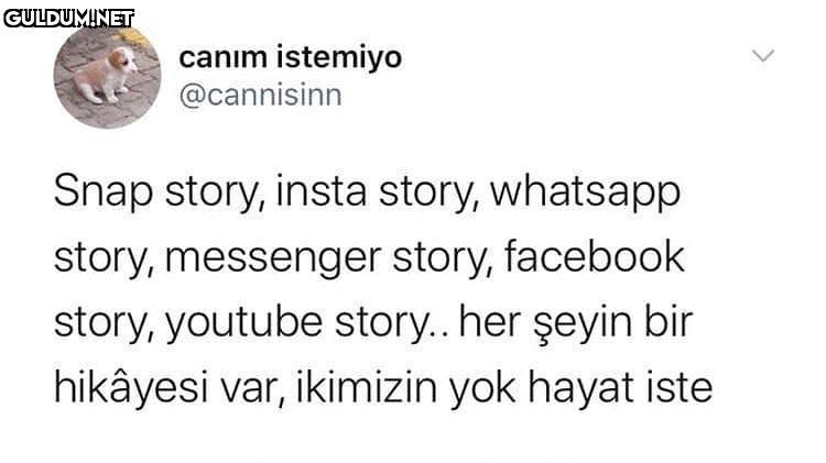 günaydın mahvetti bu twit...