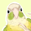sleepyconure