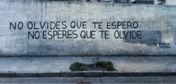 accionpoetica96:  “No olvides que te espero. No esperes que te olvide”